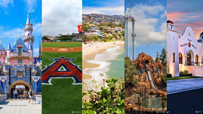 things-to-do-in-anaheim-while-your-hair-processes-local-guide